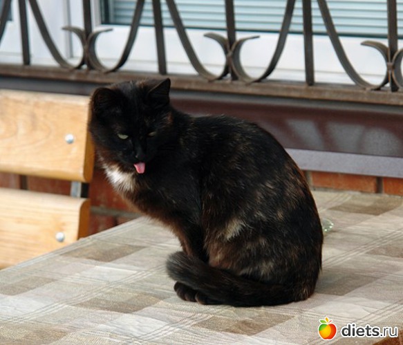 432 фото: Для постов