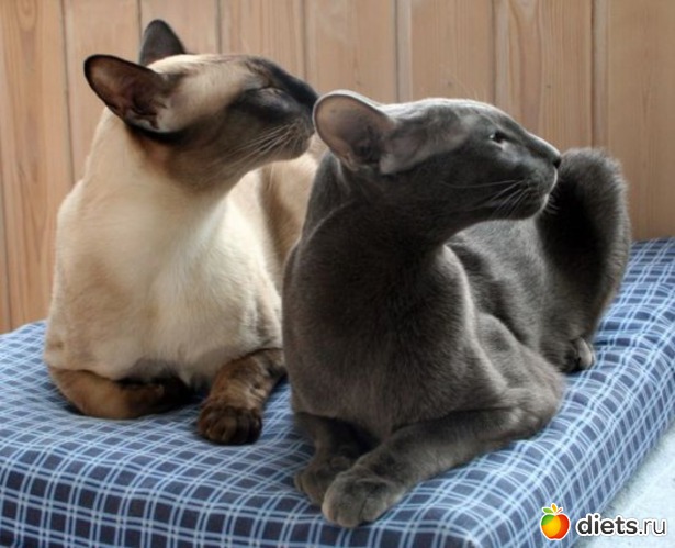 434 фото: Для постов