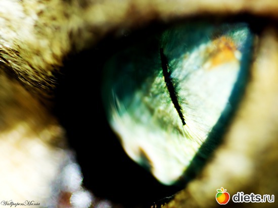 435 фото: Для постов