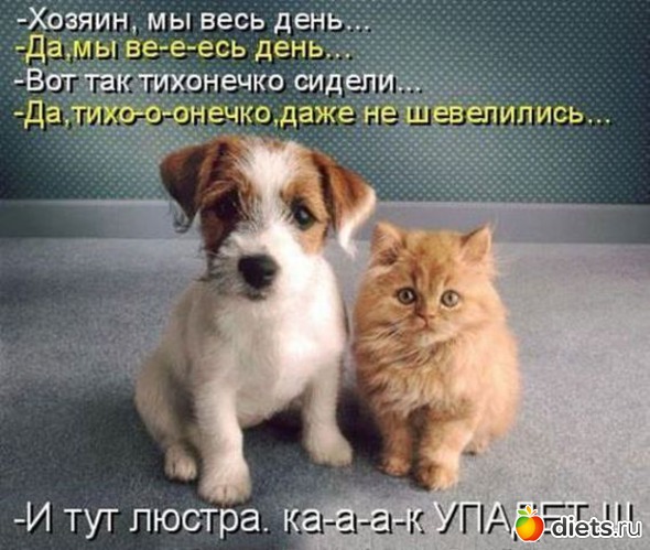 76 ����: ��������