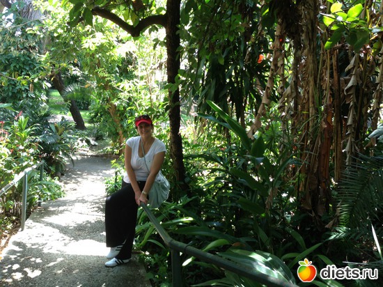 ���������� ������ ������������ �����, ������: Victoria Falls(������� ��������)