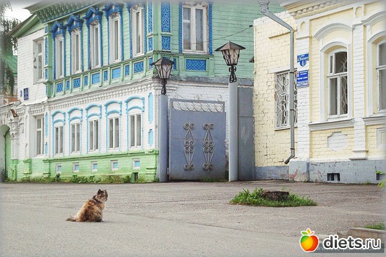 6 ����: ������� ����� �������