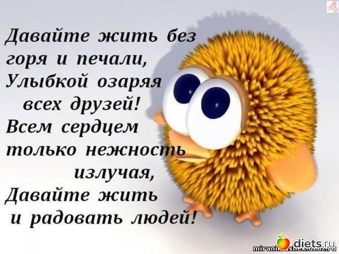 5 ����: � ������