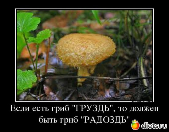 2 ����: ������