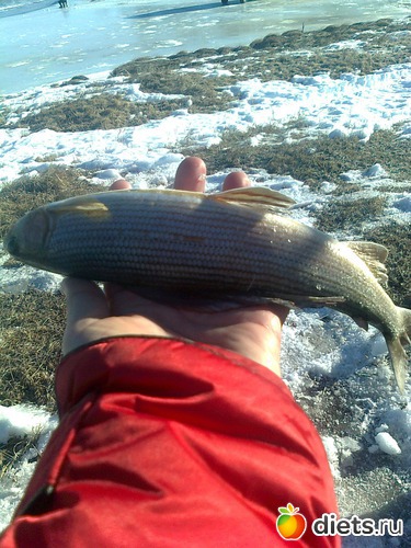 �������  ��� :), ������: ���� ���� ��� �� , ��� �  ��!