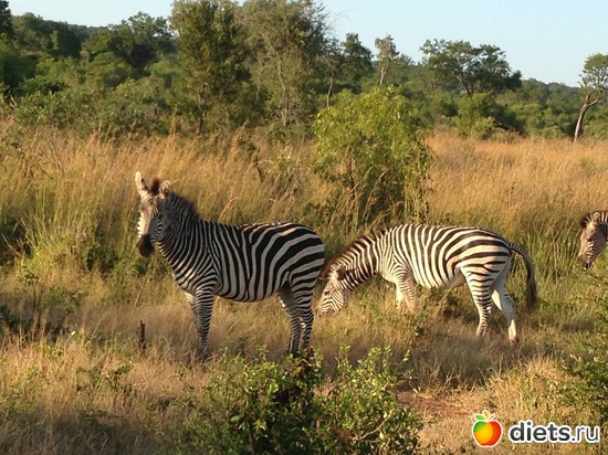������� �� ����� ���� �������� �����, ������: Victoria Falls(������� ��������)