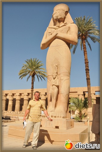 8 ����: ��� �