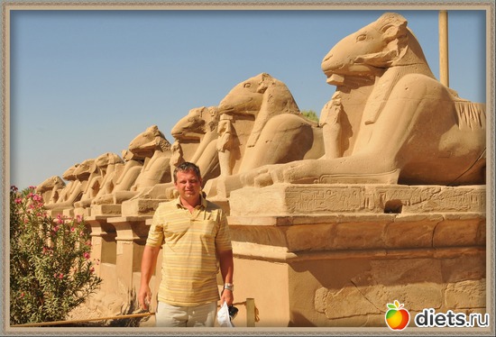 9 ����: ��� �