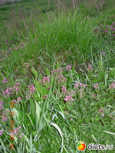 5 фото: ДОРОГА ЖИЗНИ !!