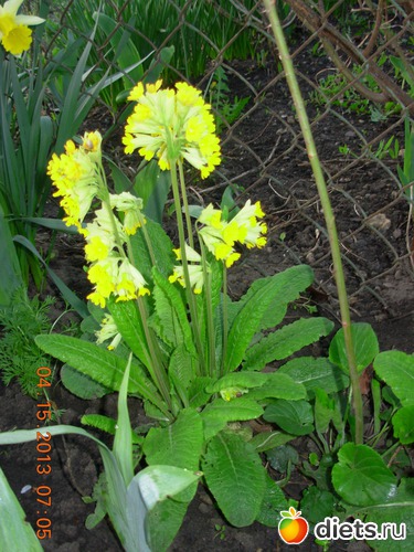 8 фото: ДОРОГА ЖИЗНИ !!