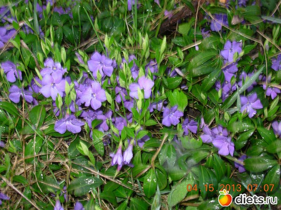 10 фото: ДОРОГА ЖИЗНИ !!