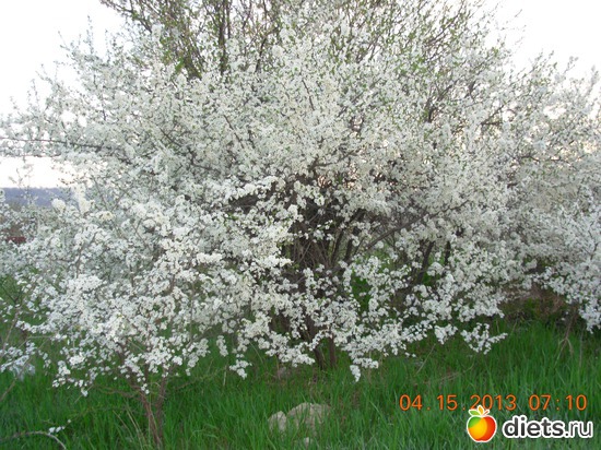 11 фото: ДОРОГА ЖИЗНИ !!