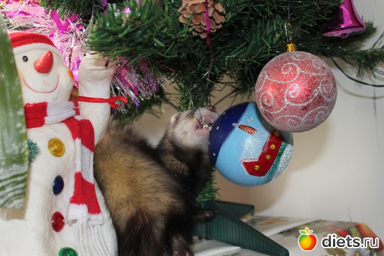 4 ����: ��� ��������