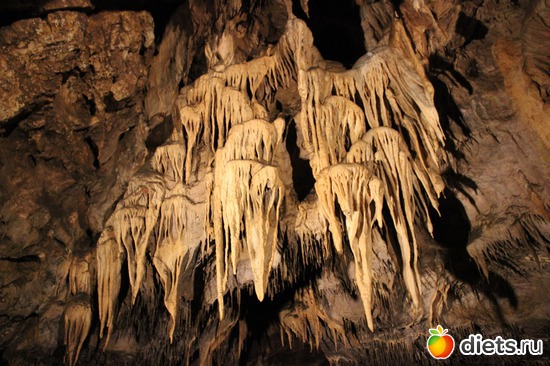 1 ����: ������