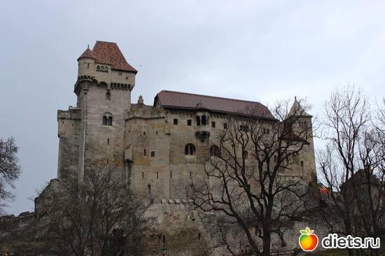 4 ����: ������