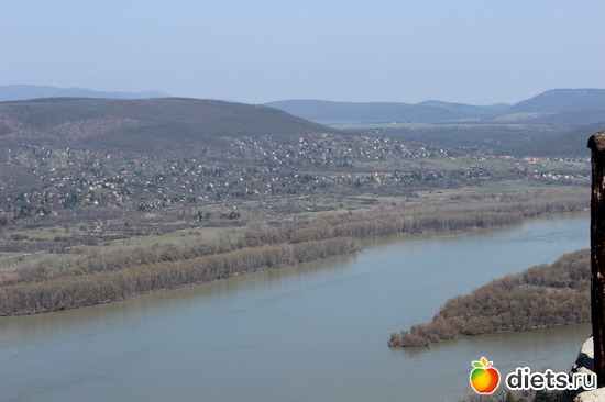 5 ����: ������