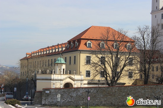 8 ����: ������