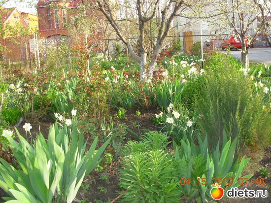 33 фото: ДОРОГА ЖИЗНИ !!