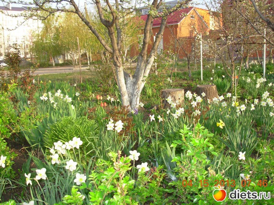 40 фото: ДОРОГА ЖИЗНИ !!