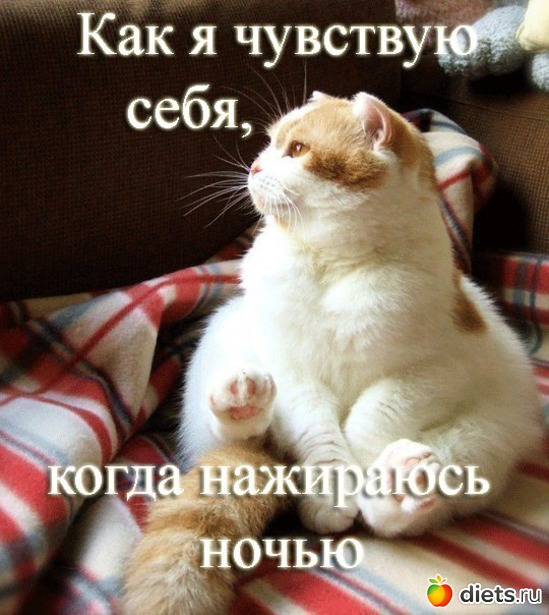 8 ����: ���������.