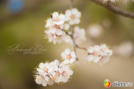 6 ����: ��� ������� ������