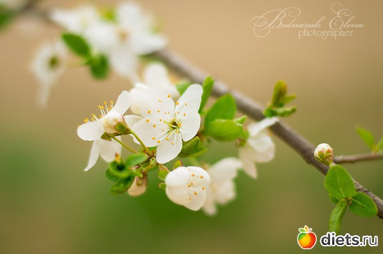 7 ����: ��� ������� ������