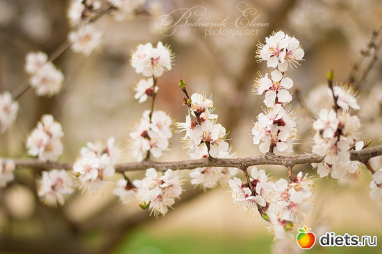 8 ����: ��� ������� ������