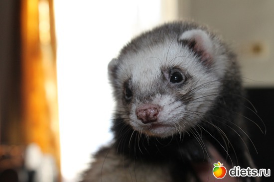 3 ����: ��� ��������