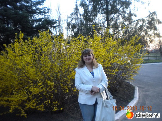 2 ����: ����� 2013