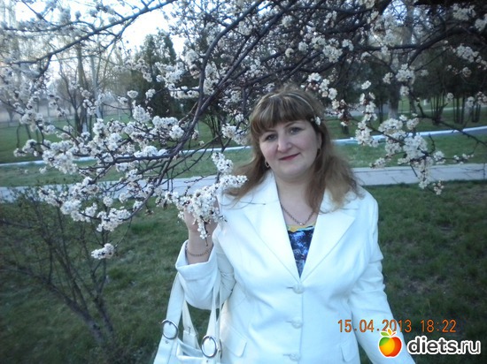 3 ����: ����� 2013