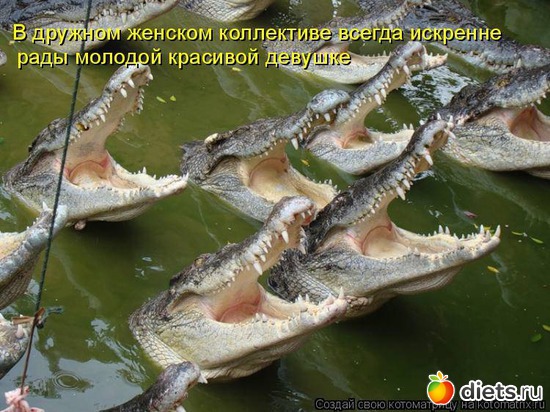 13 ����: ��������))