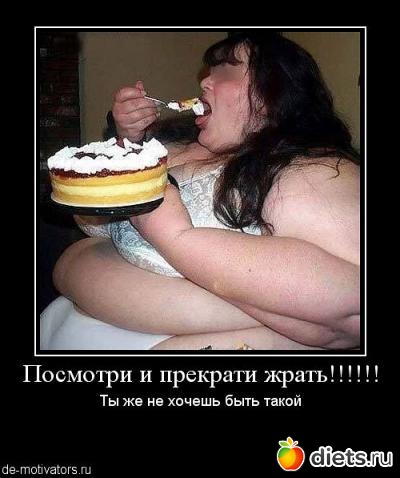 ���������)))