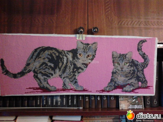 5 ����: ��������� ����� �����