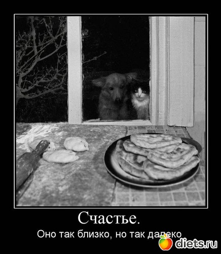 3 ����: ��������))