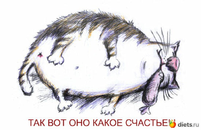 5 ����: ��������))