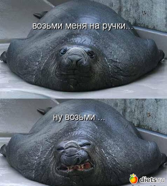 9 ����: ��������))