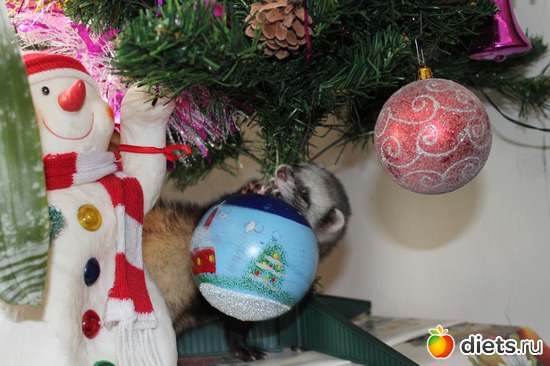 5 ����: ��� ��������