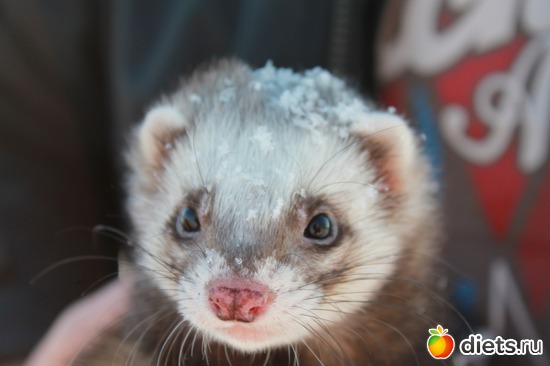 22 ����: ��� ��������