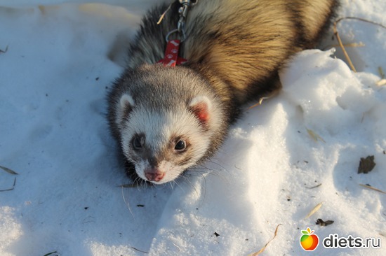 6 ����: ��� ��������