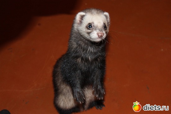 23 ����: ��� ��������