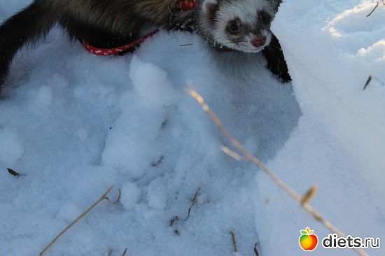 7 ����: ��� ��������