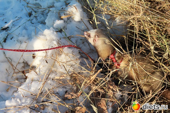 18 ����: ��� ��������