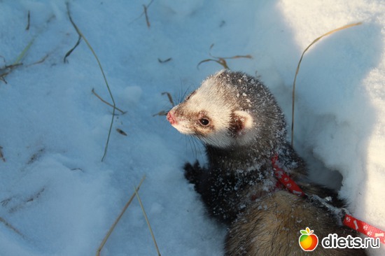 14 ����: ��� ��������