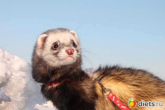 8 ����: ��� ��������