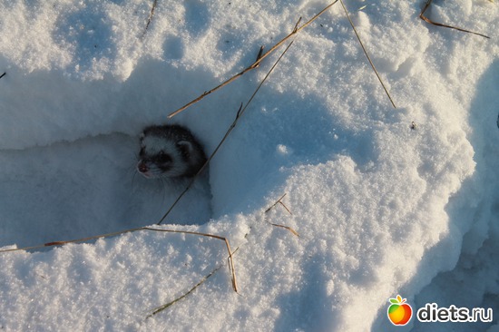 19 ����: ��� ��������