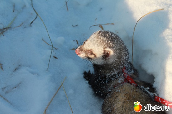 15 ����: ��� ��������