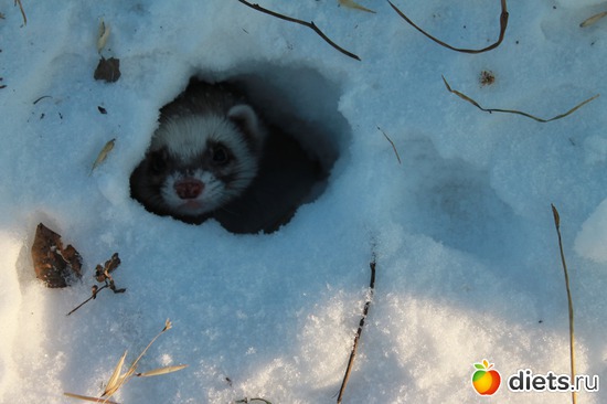 20 ����: ��� ��������