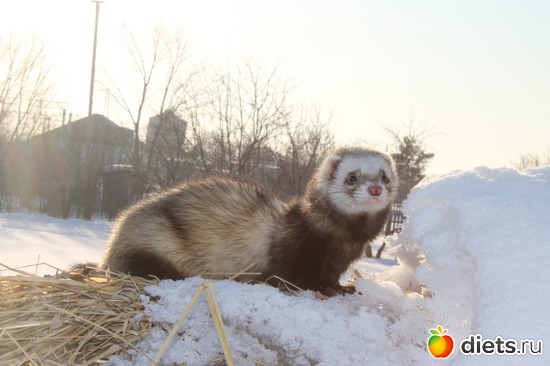 10 ����: ��� ��������