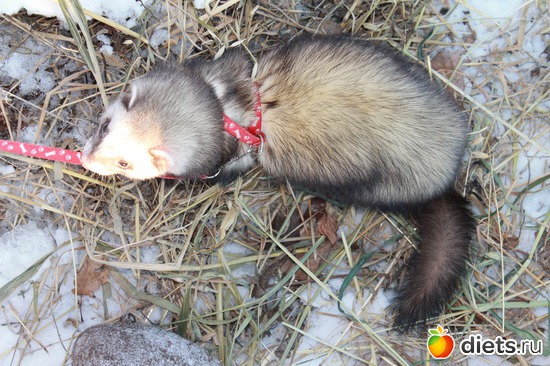 16 ����: ��� ��������