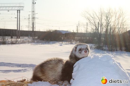 11 ����: ��� ��������